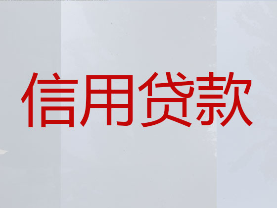 朝阳信用贷款-本地贷款公司